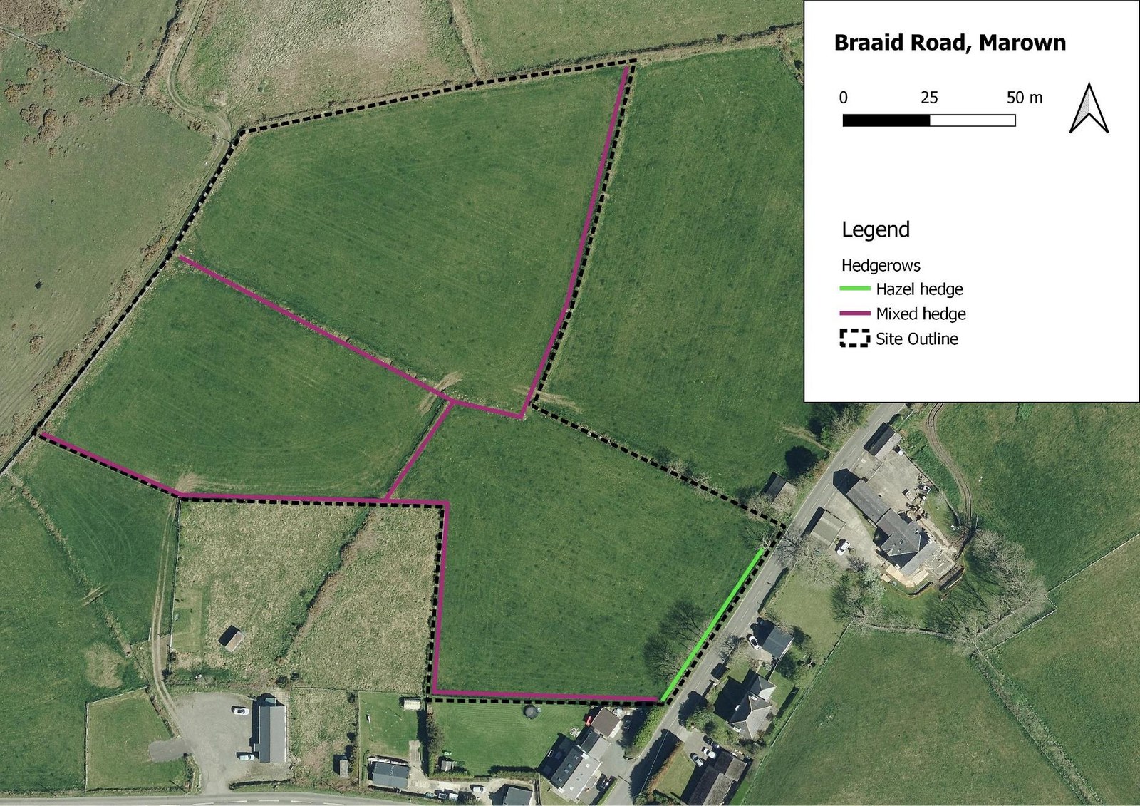 An aerial site plan of Braaid Road, Marown, showing green fields with hedgerows marked in green and purple lines and a dashed site outline.
