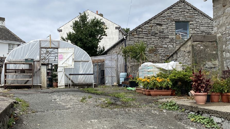 A photograph showing a gravel yard containing a large polytunnel greenhouse and a stone building with potted plants nearby.