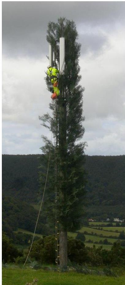 photograph from page 5