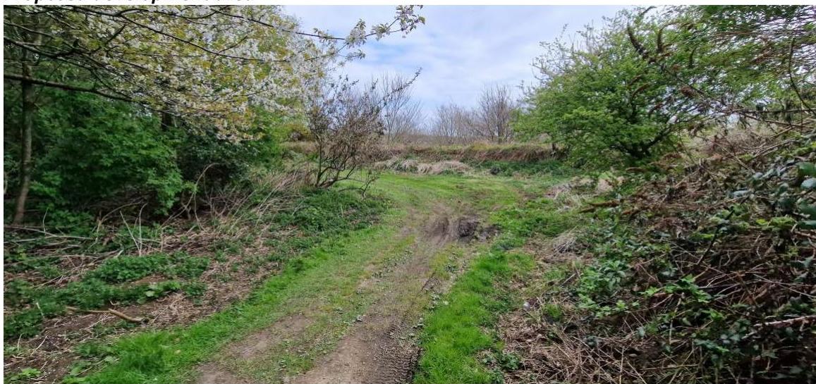 map or plan from page 6