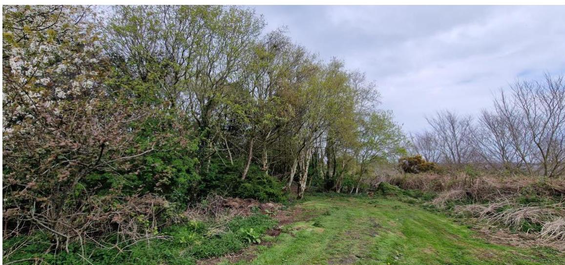 photograph from page 7