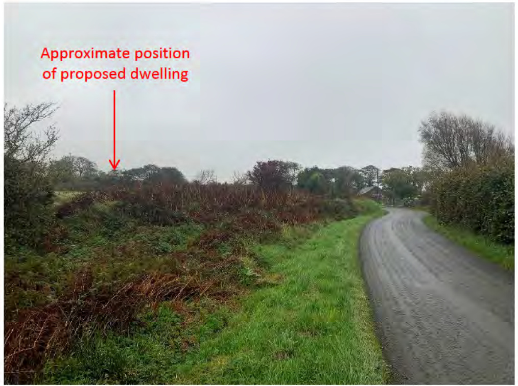 A photograph of a rural roadside site with overgrown vegetation, annotated with a red arrow indicating the approximate position of a proposed dwelling.
