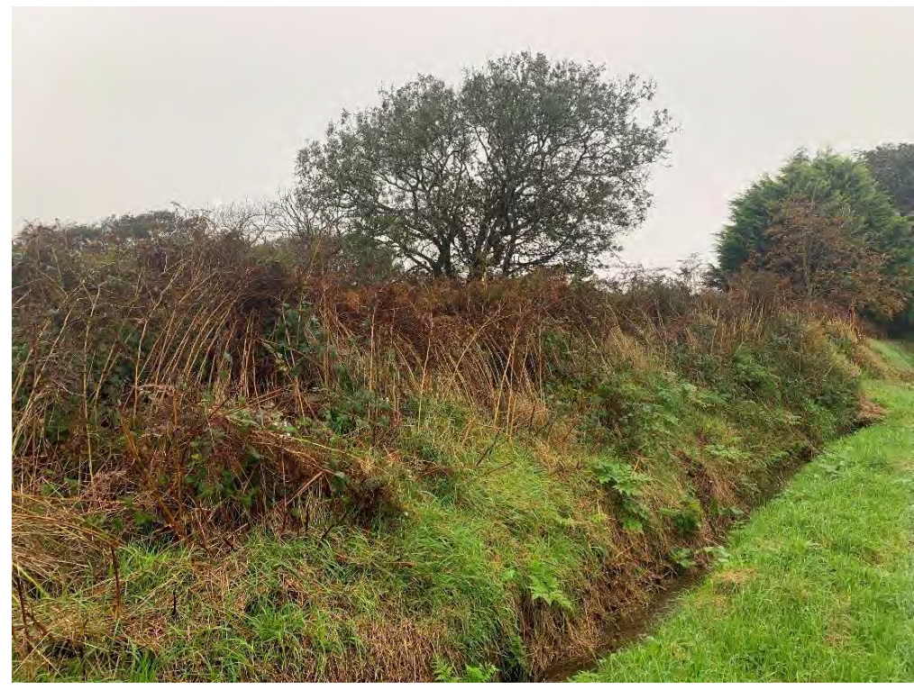 map or plan from page 11