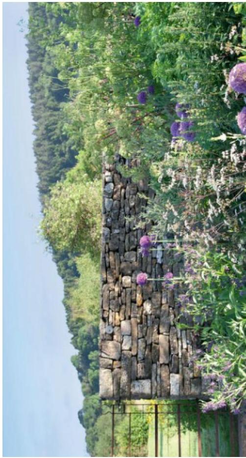 A rotated photograph showing a dry stone wall with purple flowers in the foreground and a green, tree-covered hillside in the background.