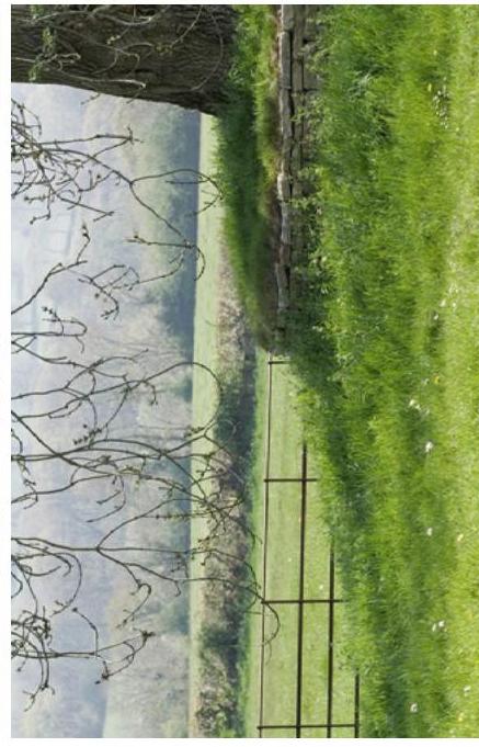 A rotated photograph showing a rural scene with a wire fence, stone wall, and a distant view of a valley or coastline.