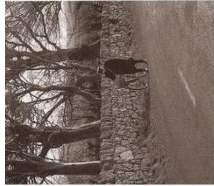 A sepia-toned photograph showing a stone boundary wall alongside a paved road or driveway, with bare trees visible on the left side.