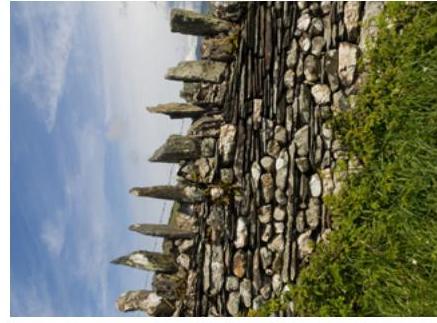 A rotated photograph showing a traditional dry stone wall with vertical coping stones against a blue sky, with grass growing alongside it.