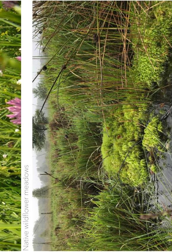 photograph from page 7