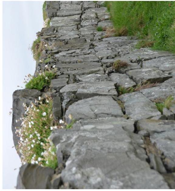 photograph from page 7