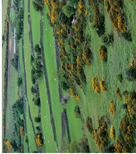 photograph from page 7