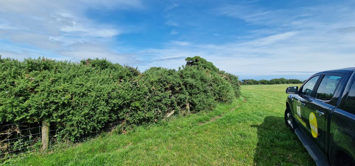 map or plan from page 4