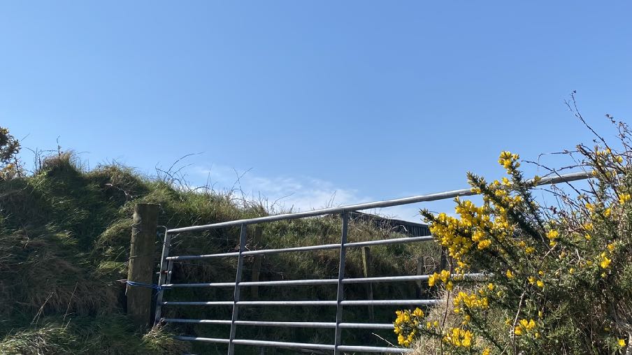 photograph from page 2