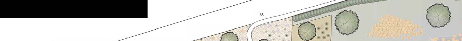 A top-down landscape plan showing stylized trees, a driveway, and textured ground areas along a boundary.