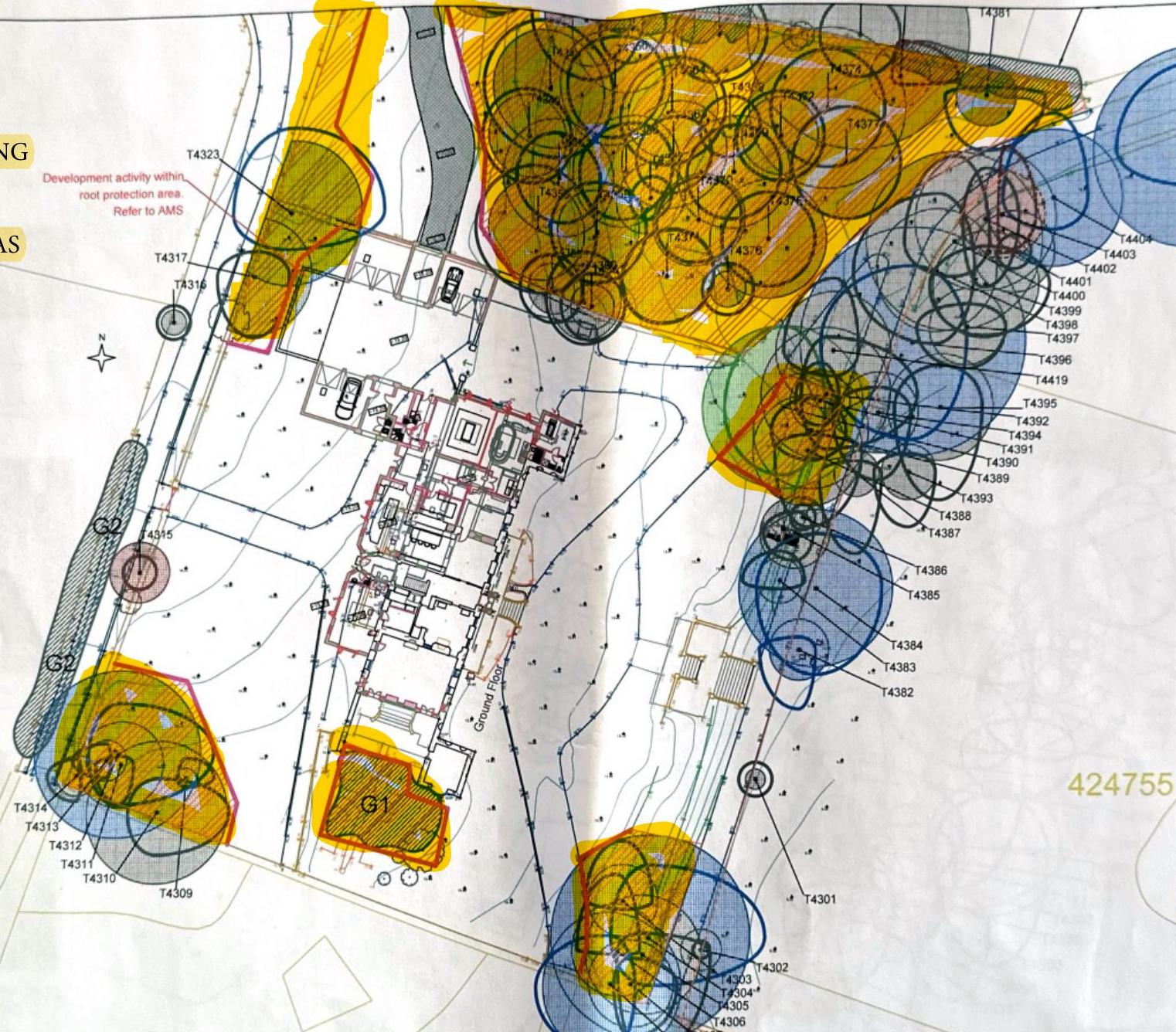A technical site plan showing a building footprint overlaid with colored circles representing tree root protection areas and individual tree references.
