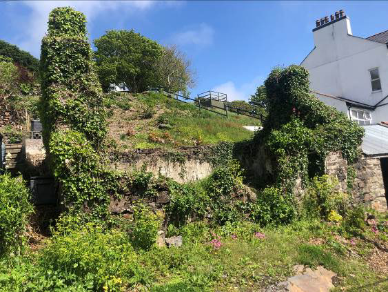 A photograph showing a steep, overgrown slope with stone retaining walls covered in ivy, adjacent to a white building.
