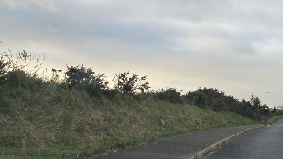 A photograph showing a grassy embankment with vegetation and bushes running alongside a paved road under an overcast sky.