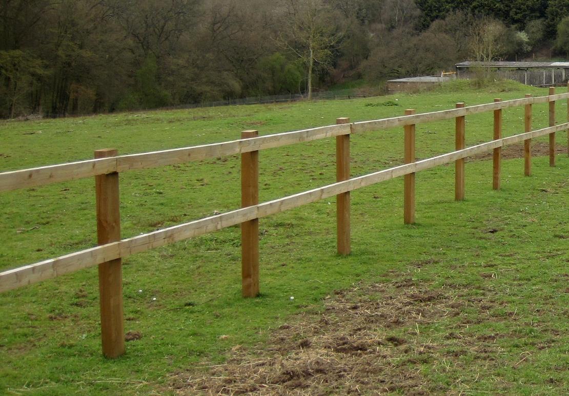 photograph from page 5