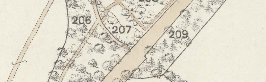 A close-up section of a site location map or OS map extract showing plot numbers 206, 207, and 209 with vegetation symbols and boundary lines.