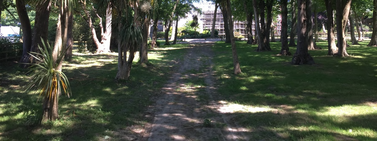 A photograph showing a grassy, tree-lined dirt path or driveway leading towards a building covered in scaffolding in the background.