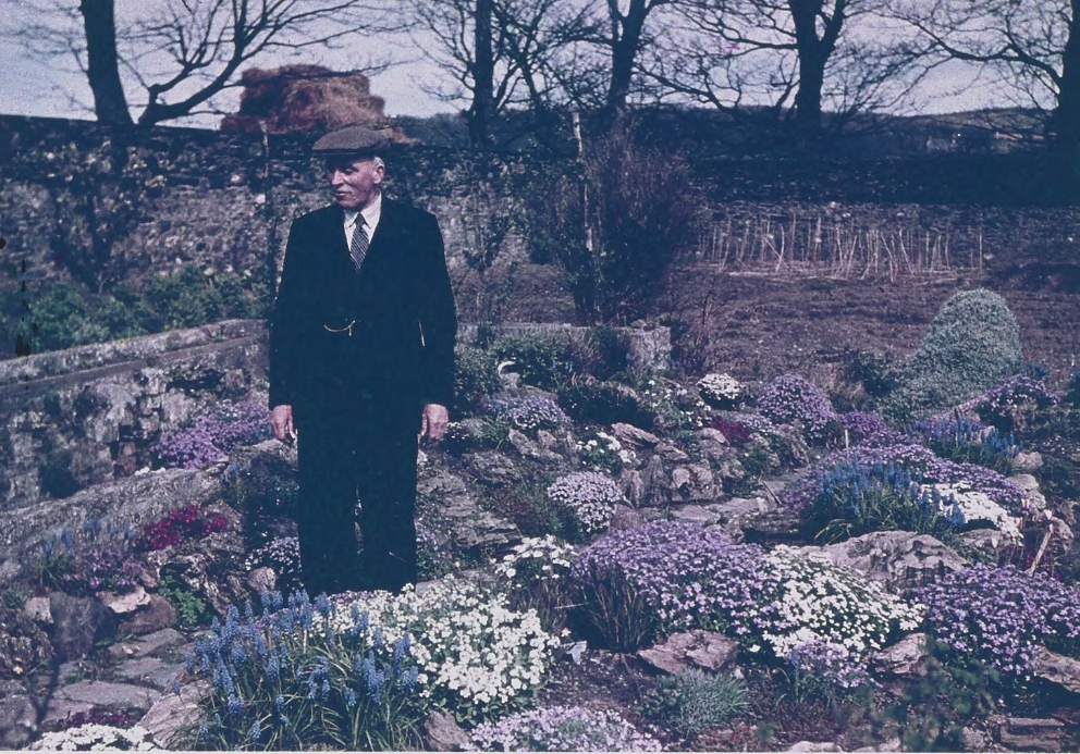 A vintage photograph showing an elderly man in a suit and flat cap standing in a terraced garden with stone walls and flowers.