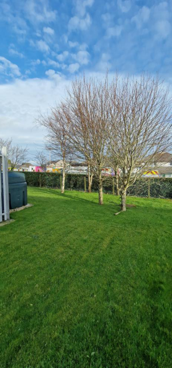 A photograph showing a grassy area with several leafless trees and a hedge, with residential houses visible in the background.