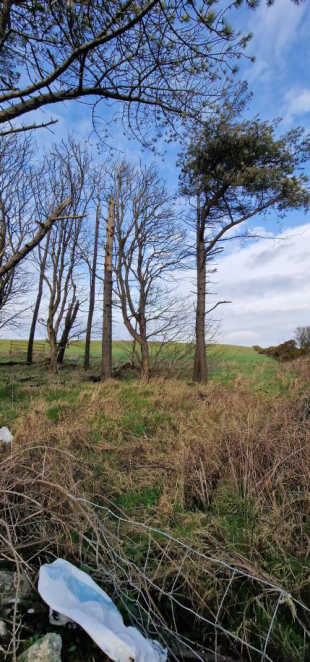 A photograph showing a grassy field with several trees and a wire fence in the foreground, likely depicting the site location.