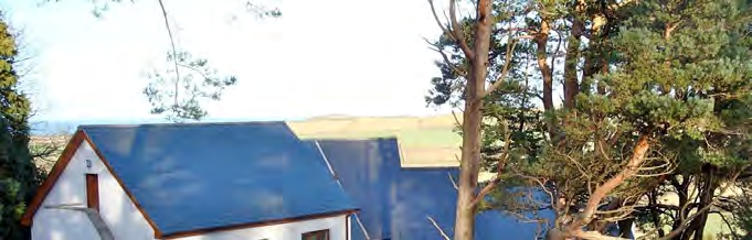A photograph showing a white building with a blue roof surrounded by trees, with a coastal view in the background.