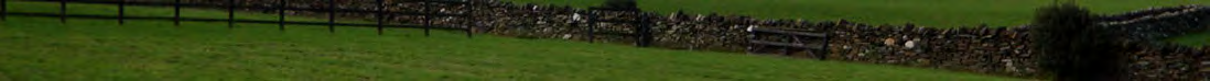 A panoramic photograph showing a green grassy field with a traditional dry stone wall and wooden fence running horizontally across the middle ground.