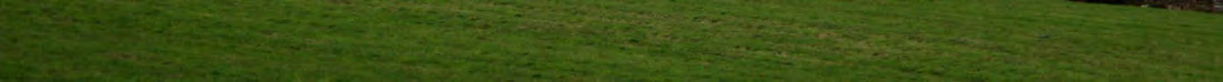 A panoramic photograph showing a grassy field or lawn, likely representing the site of the proposed development.