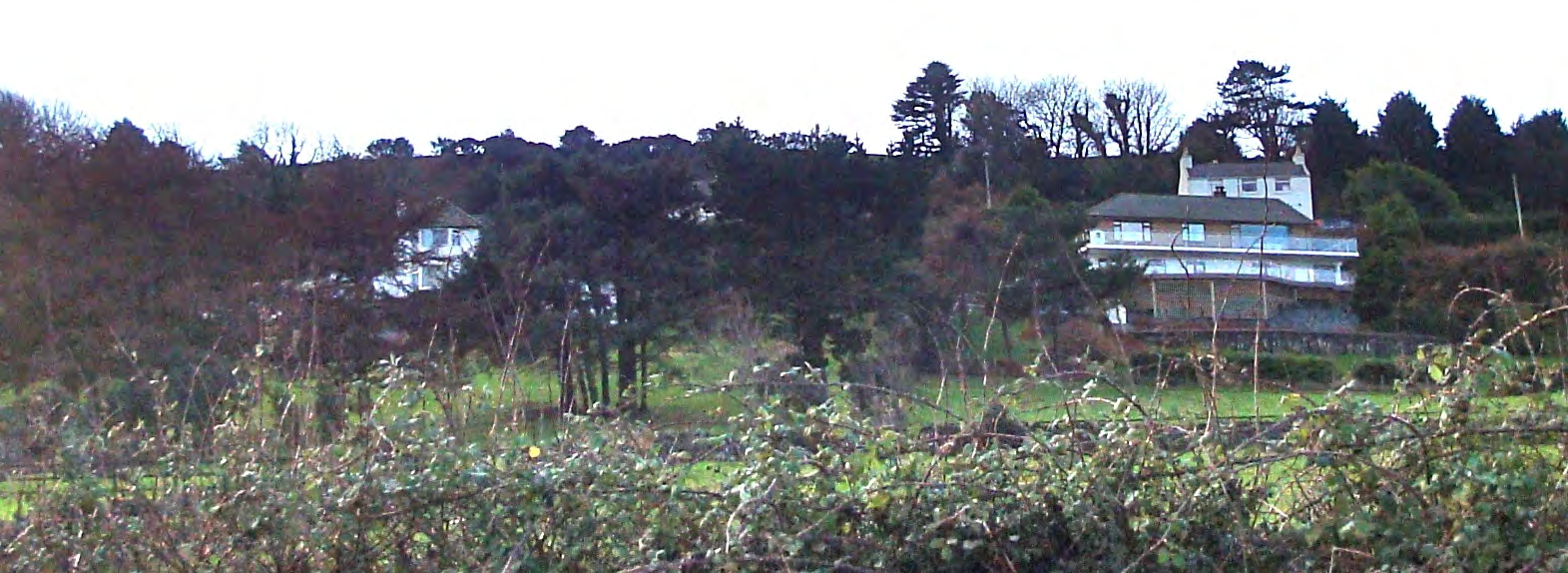 A landscape photograph showing a sloping site with mature trees and existing residential properties, including a white multi-level house on the right.