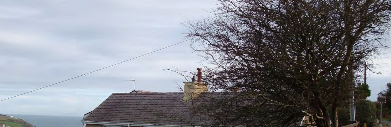 A panoramic photograph showing the roof and chimney of a house partially obscured by a large tree, with the sea visible in the distance.