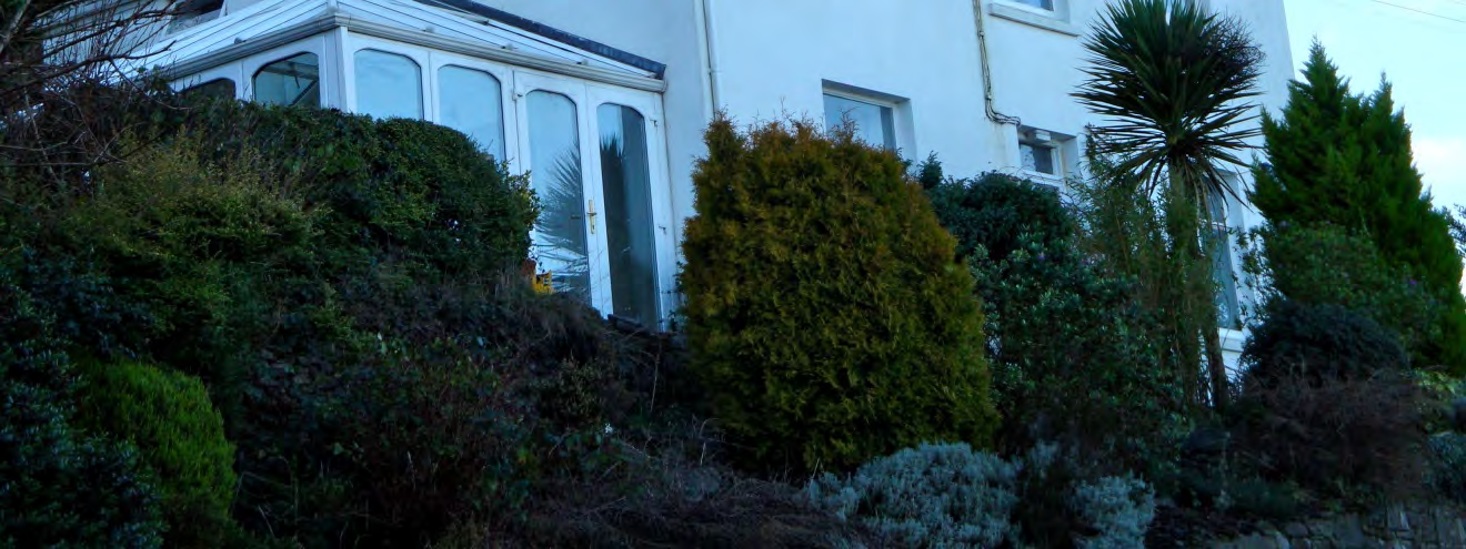 A low-angle photograph showing the side elevation of a white house with a conservatory, partially obscured by dense garden vegetation.