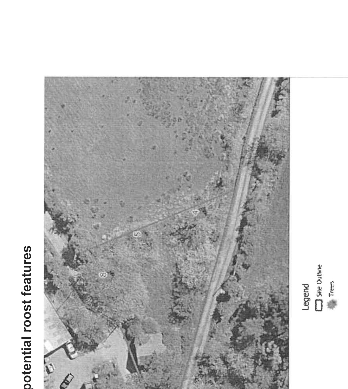 A black and white aerial site plan showing a rural field, road, and trees with numbered markers indicating potential roost features.