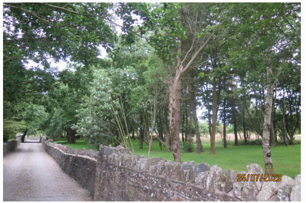 A photograph showing a gravel driveway bordered by a dry stone wall leading into a wooded area with green grass.