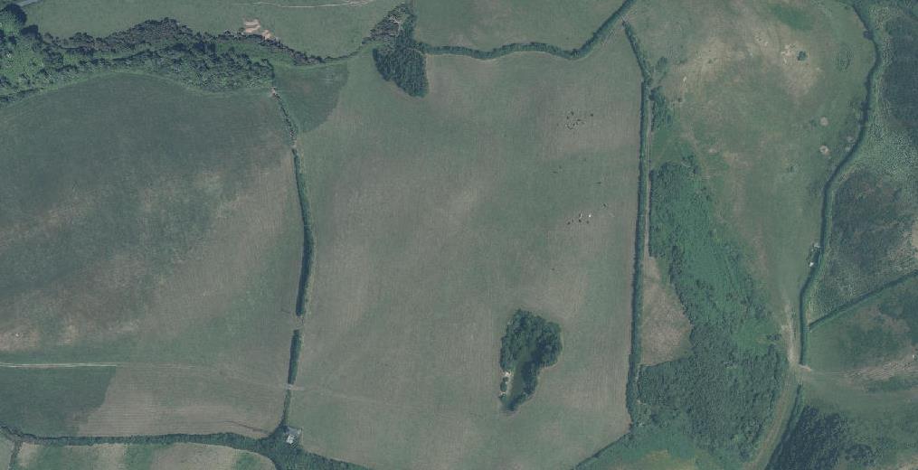 High-angle aerial view of a green agricultural field divided by hedgerows, serving as a site location map.