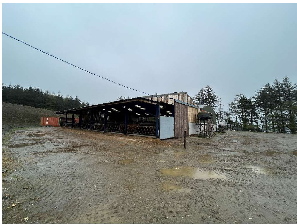 A photograph showing a large open-sided agricultural shed with blue steel supports and an adjacent wooden structure situated in a muddy farmyard.