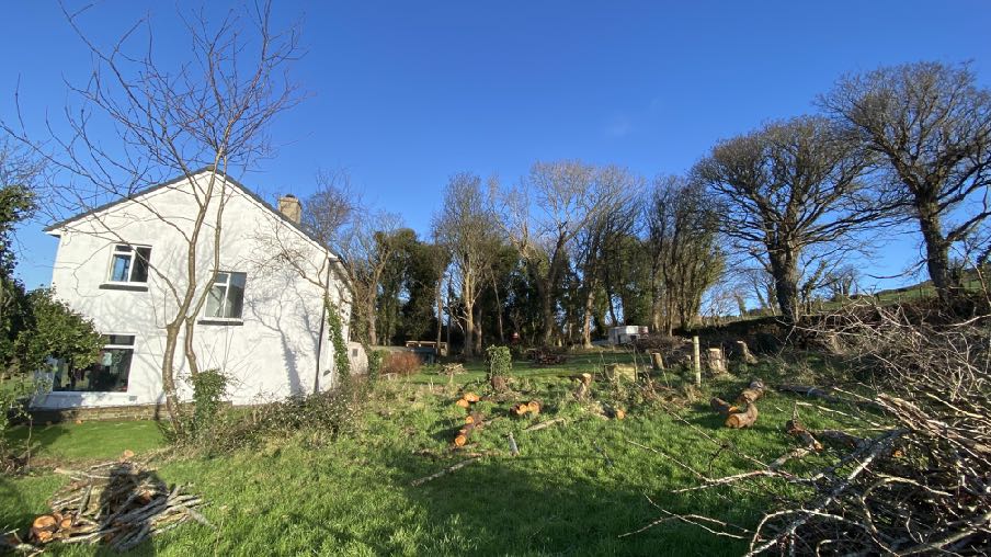 Exterior photograph of a white two-story detached house with a grassy yard containing cut timber and trees.