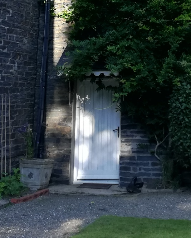 A photograph showing a white wooden door set into a grey stone wall, partially obscured by overhanging green foliage and ivy.