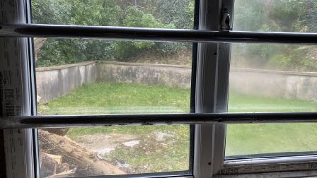 A view through a window with horizontal bars looking out onto a grassy enclosure bordered by a concrete wall.