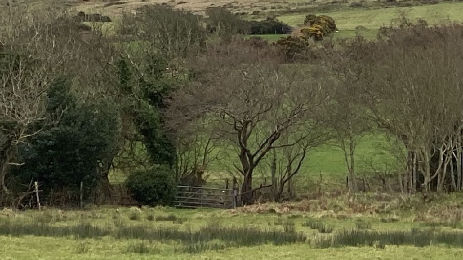 A photograph of a rural landscape featuring a grassy field, trees, and a metal gate, with a building visible in the distance.