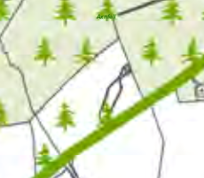 A detailed section of a site plan displaying property boundaries, tree symbols, and a building footprint.
