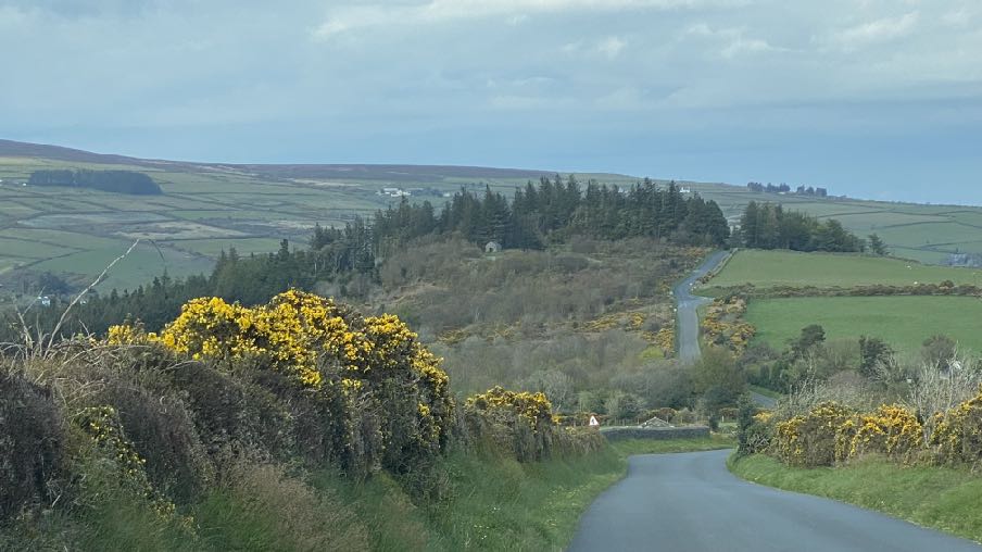 A landscape photograph showing a winding rural road flanked by hedgerows with yellow gorse, leading towards a distant view of the coast and fields.