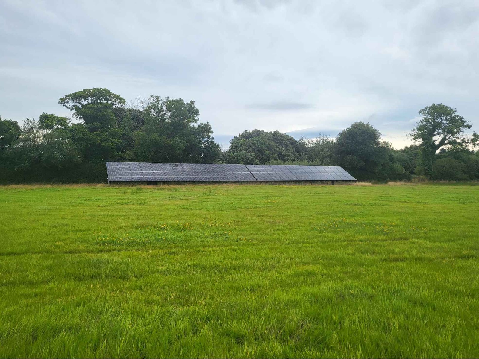 photograph from page 1