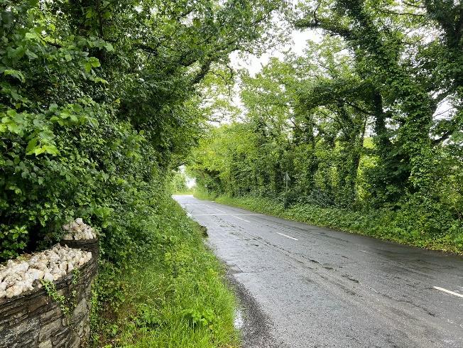 A photograph showing a wet, paved rural road winding through dense green trees and vegetation, with a stone wall visible in the foreground.