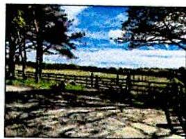 A low-resolution photograph depicting a rural outdoor scene featuring trees, a wooden fence, and a grassy field under a blue sky.