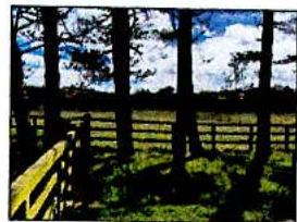 A low-resolution photograph showing a wooden fence in a grassy field with trees in the foreground against a blue sky.