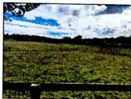 A low-resolution photograph showing a grassy field with a wooden fence in the foreground and a tree line in the background under a cloudy sky.