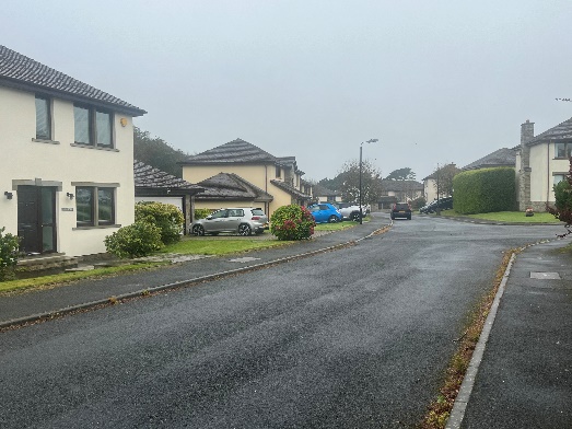 A street-level photograph showing a row of residential houses along a wet road in an overcast, rural setting.