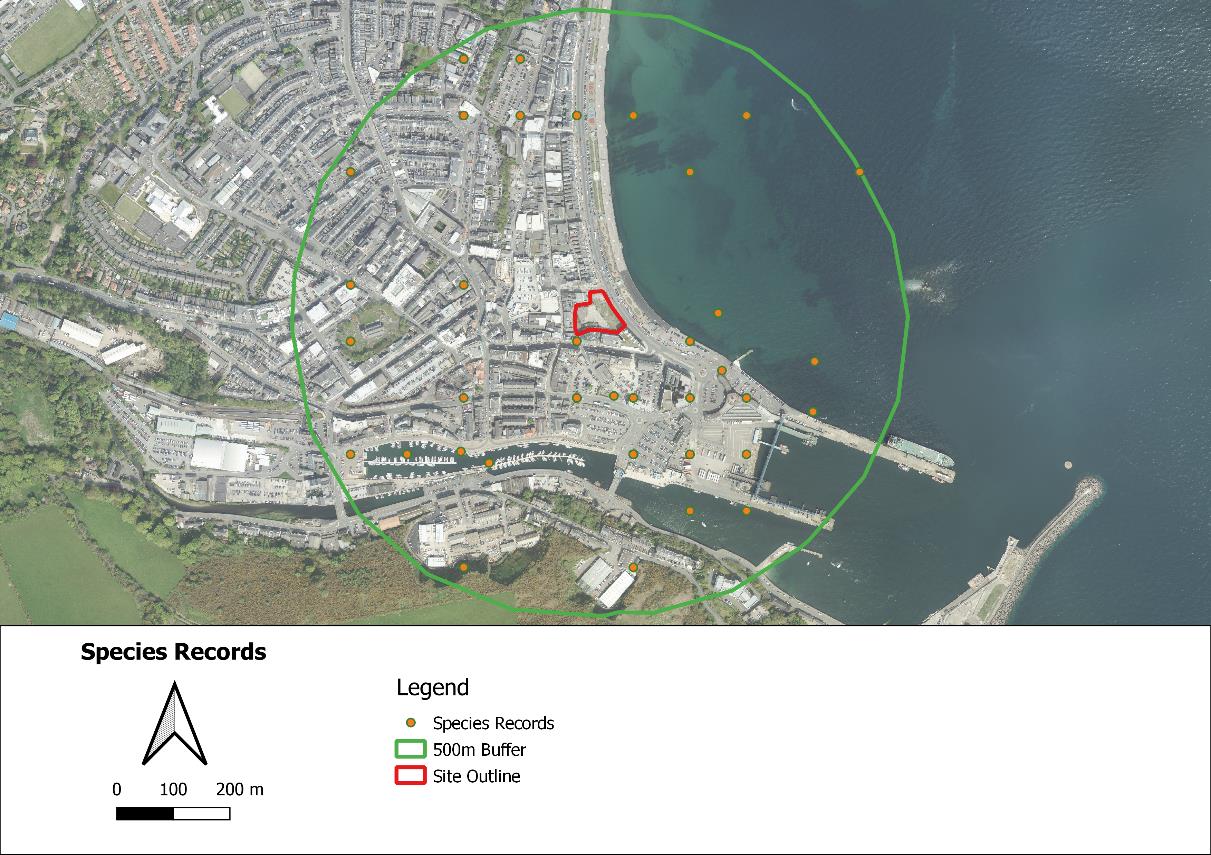 An aerial site location map displaying a red site outline and a green 500m buffer zone with yellow species record dots.