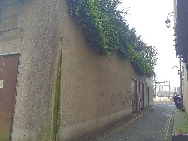 A street-level photograph showing a narrow alleyway next to a tall concrete wall covered in ivy at the top.